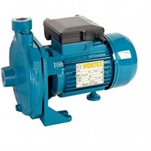 ELETTROPOMPA C100 HP.1 220V         WP1061410 COSPET